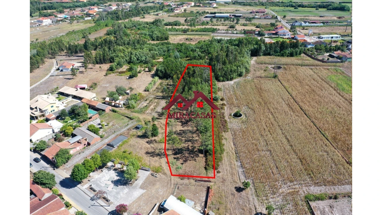 Terreno Agricola ou Rústico para Venda em Mira Foto 4
