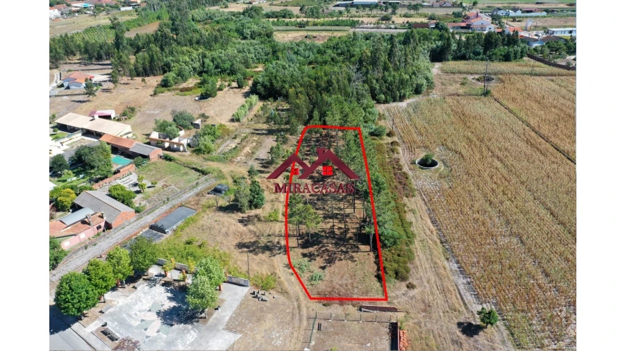 Terreno Agricola ou Rústico para Venda em Mira Foto 2