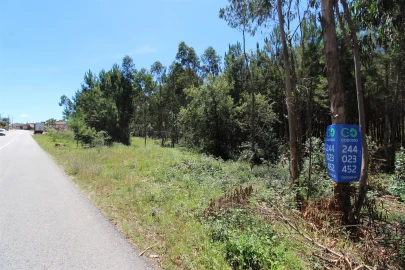Terreno para Venda em Souto da Carpalhosa e Ortigosa