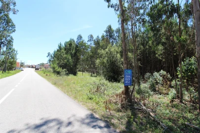 Terreno para Venda em Souto da Carpalhosa e Ortigosa