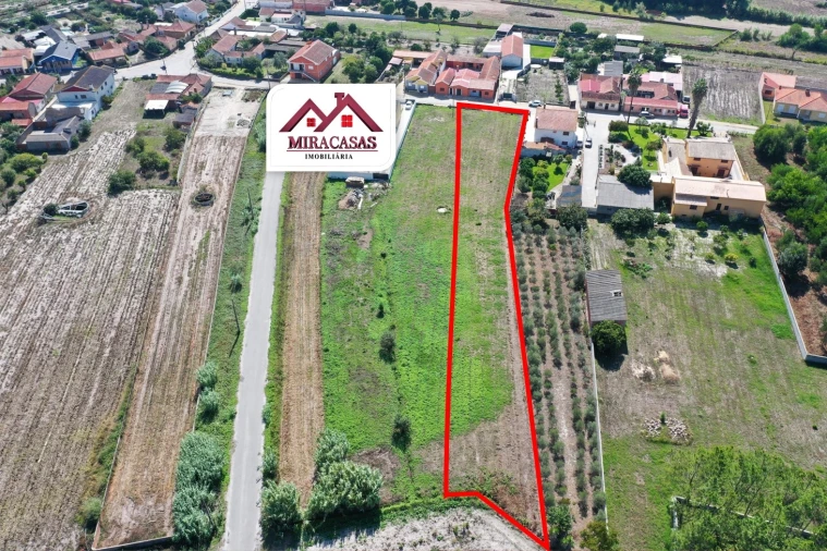 Terreno para Venda em Mira Foto 5