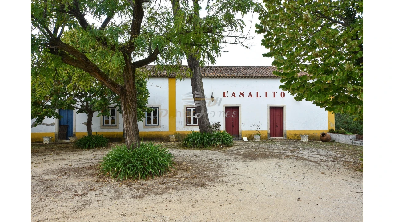 Quinta T14 para Venda em Meia Via Foto 32