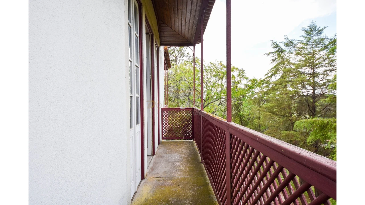 Quinta T14 para Venda em Meia Via Foto 17