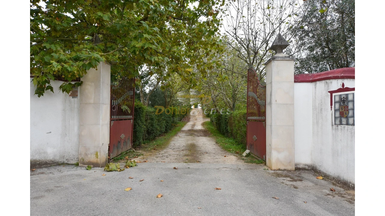 Quinta T14 para Venda em Meia Via Foto 6