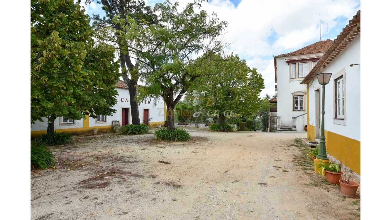 Quinta T14 para Venda em Meia Via Foto 44