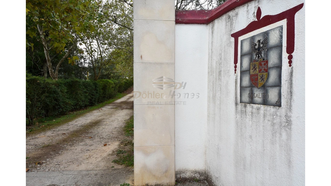 Quinta T14 para Venda em Meia Via Foto 4