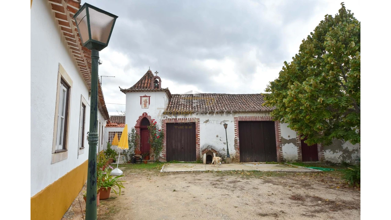 Quinta T14 para Venda em Meia Via Foto 40