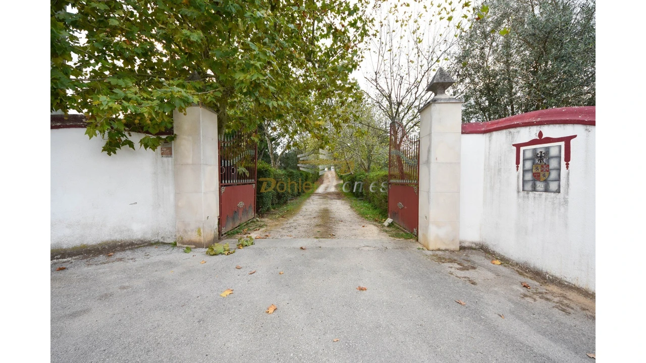 Quinta T14 para Venda em Meia Via Foto 3