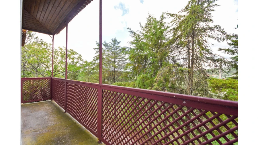 Quinta T14 para Venda em Meia Via Foto 16