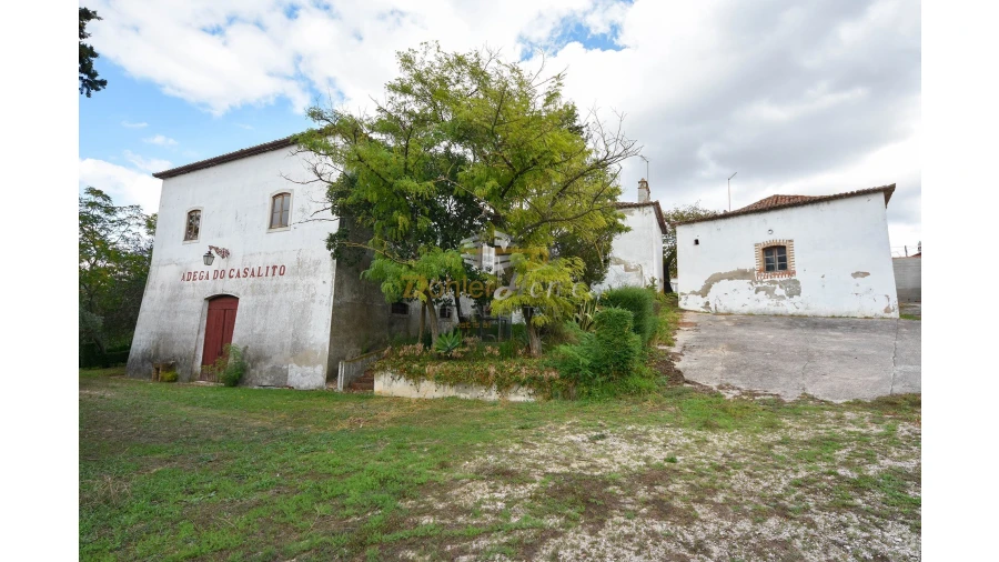 Quinta T14 para Venda em Meia Via Foto 38