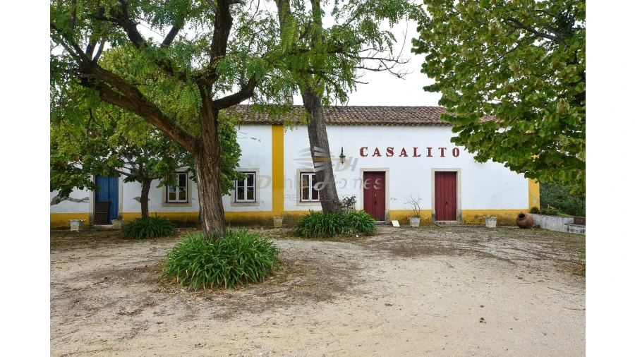 Quinta T14 para Venda em Meia Via Foto 32