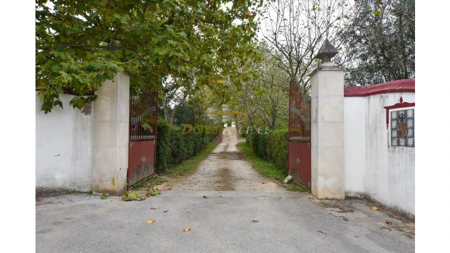 Quinta T14 para Venda em Meia Via Foto 6