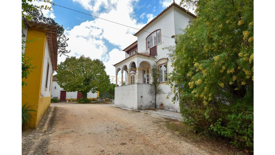 Quinta T14 para Venda em Meia Via Foto 31