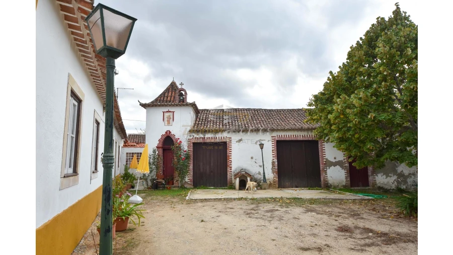 Quinta T14 para Venda em Meia Via Foto 40