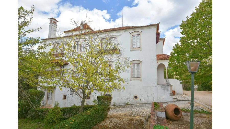 Quinta T14 para Venda em Meia Via Foto 35