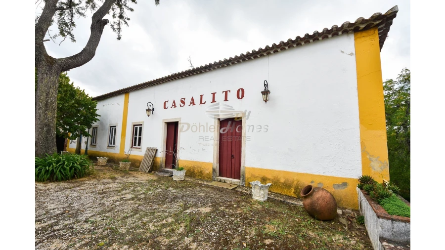 Quinta T14 para Venda em Meia Via Foto 33