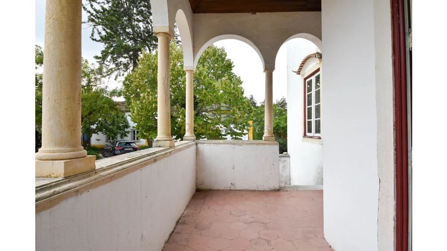 Quinta T14 para Venda em Meia Via Foto 27