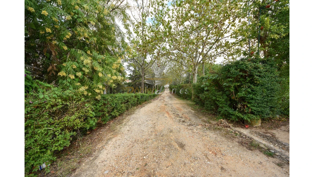 Quinta T14 para Venda em Meia Via Foto 7