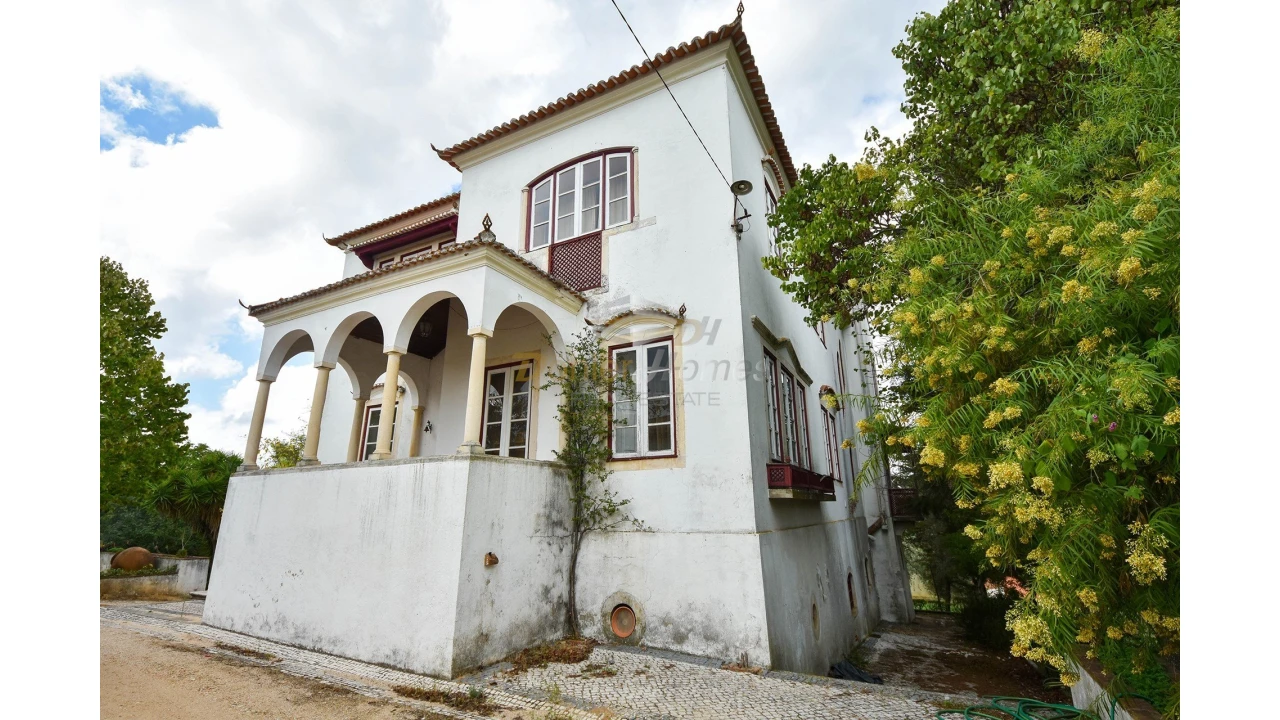 Quinta T14 para Venda em Meia Via Foto 2