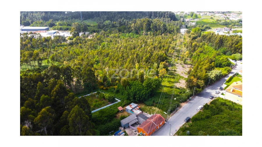 Terreno para Venda em Grijó e Sermonde Foto 5