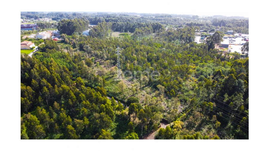 Terreno para Venda em Grijó e Sermonde Foto 9