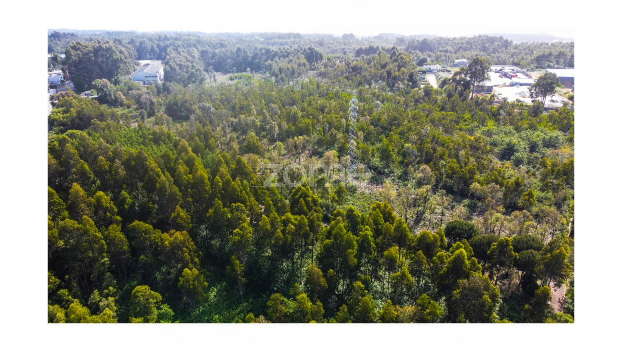 Terreno para Venda em Grijó e Sermonde Foto 10