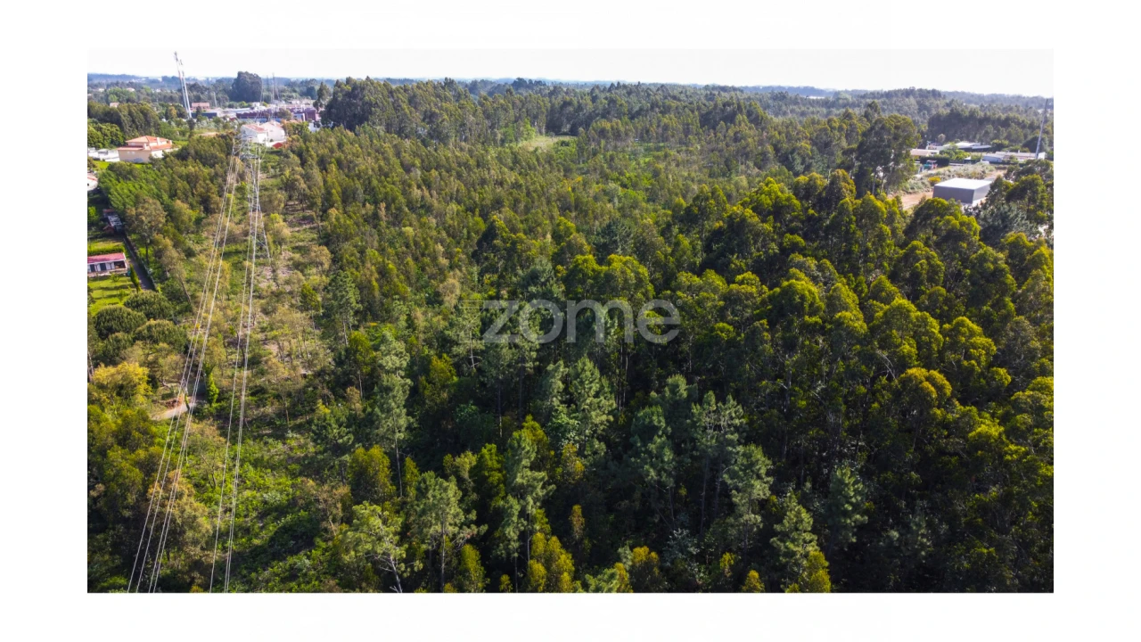 Terreno para Venda em Grijó e Sermonde Foto 11