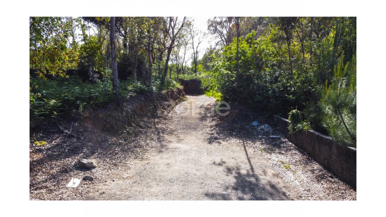 Terreno para Venda em Grijó e Sermonde Foto 1