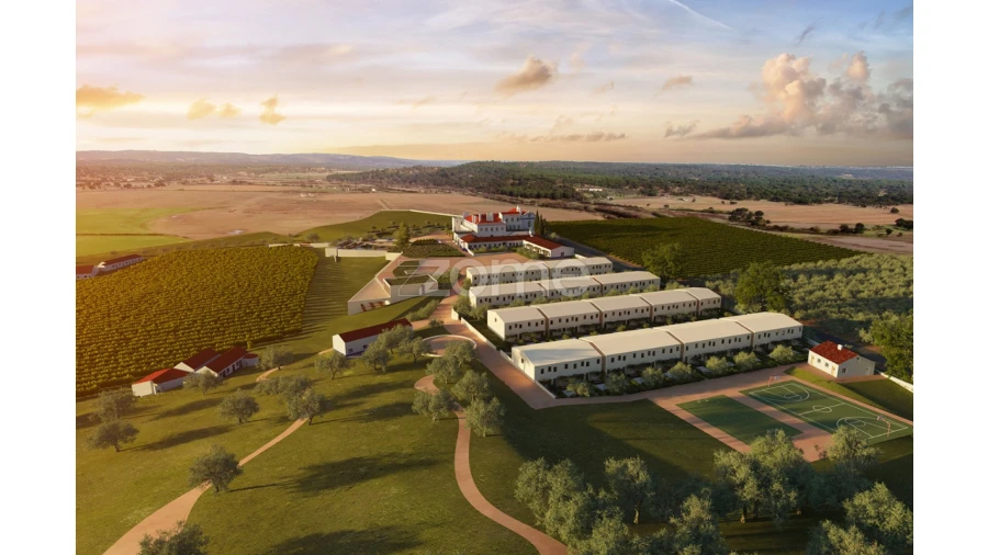 Apartamento T1 para Venda em Borba (Matriz) Foto 9