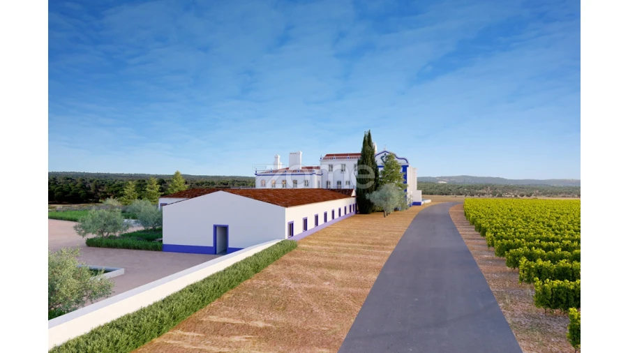 Apartamento T1 para Venda em Borba (Matriz) Foto 13