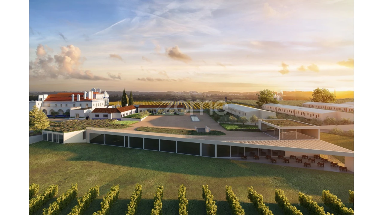 Apartamento T1 para Venda em Borba (Matriz) Foto 7