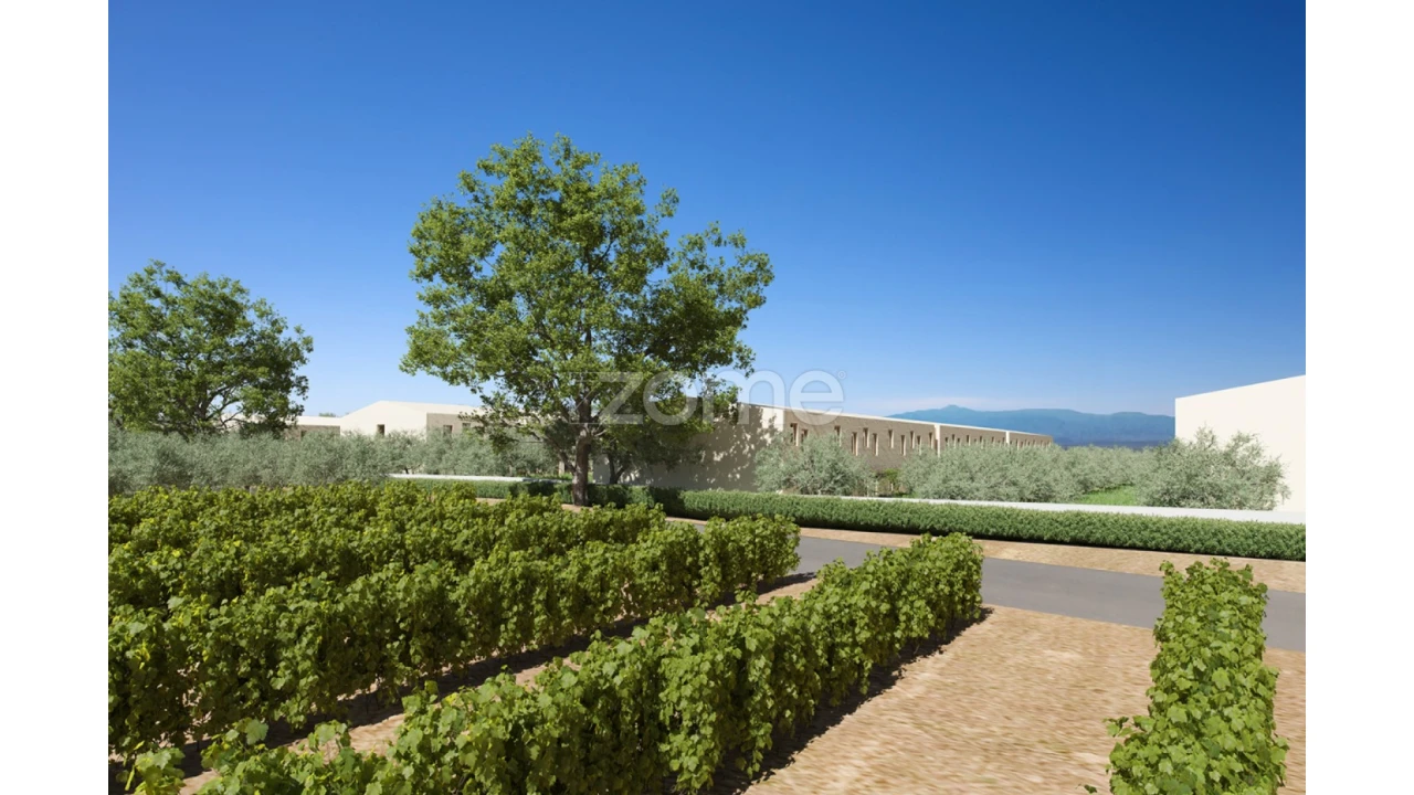 Apartamento T1 para Venda em Borba (Matriz) Foto 3