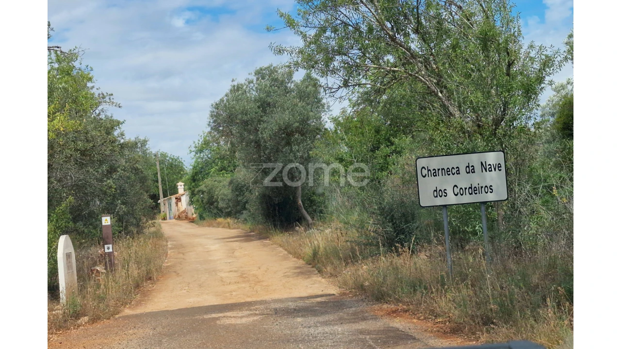 Terreno para Venda em Querença, Tôr e Benafim Foto 9