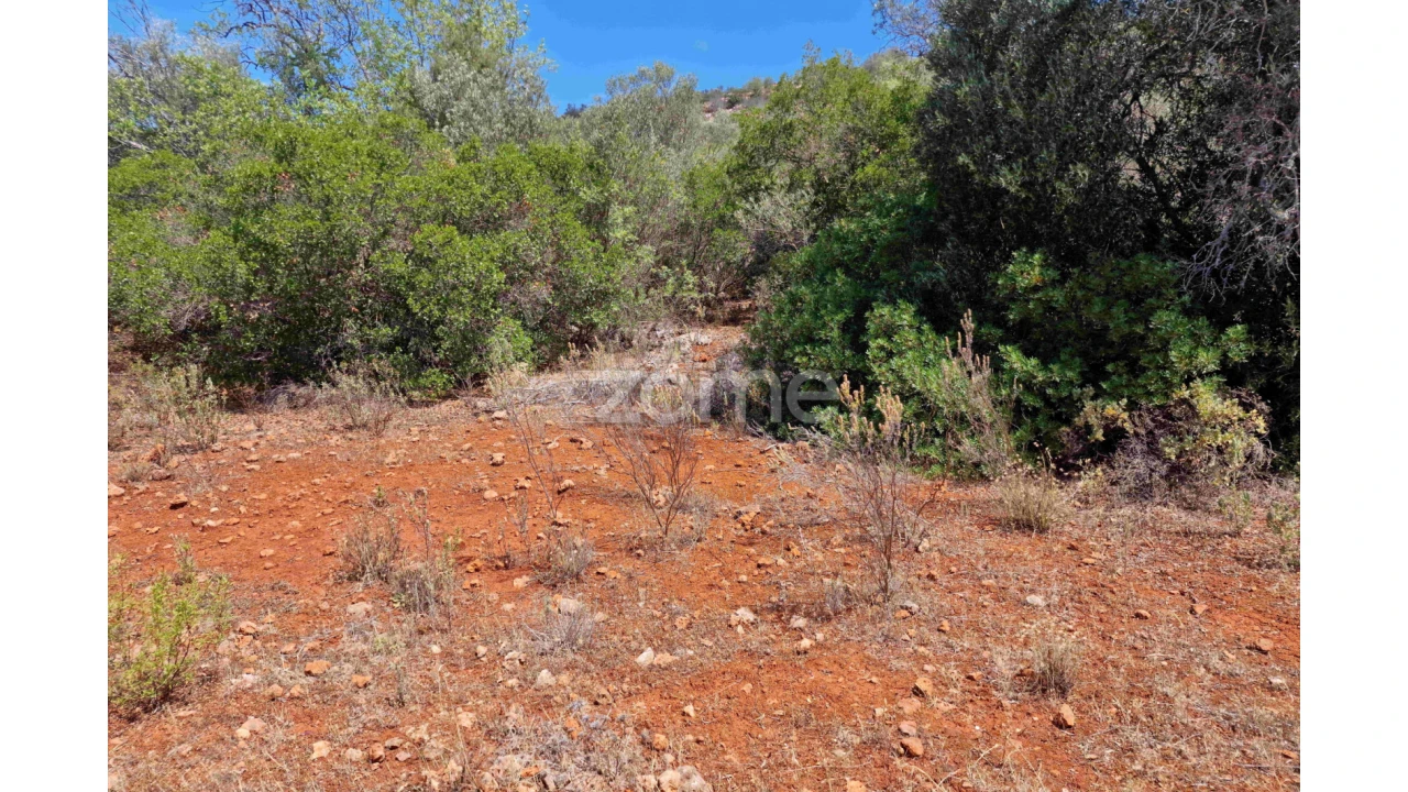 Terreno para Venda em Querença, Tôr e Benafim Foto 13