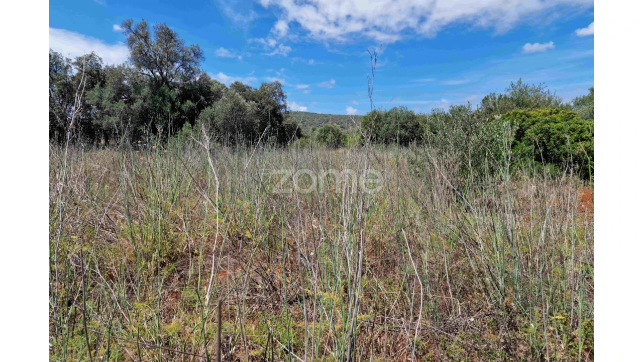 Terreno para Venda em Querença, Tôr e Benafim Foto 11