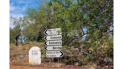 Terreno para Venda em Querença, Tôr e Benafim