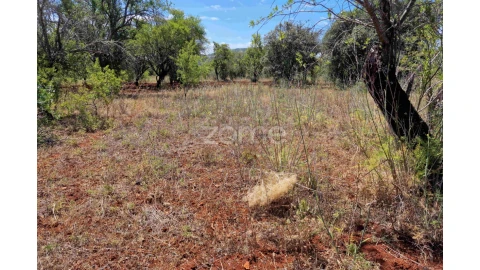 Terreno para Venda em Querença, Tôr e Benafim