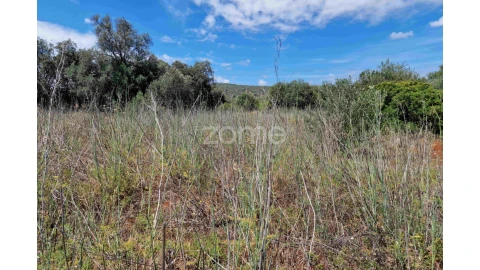 Terreno para Venda em Querença, Tôr e Benafim