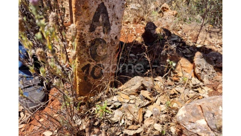 Terreno para Venda em Querença, Tôr e Benafim