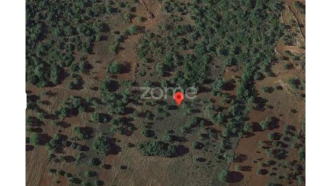 Terreno para Venda em Querença, Tôr e Benafim