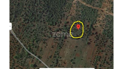 Terreno para Venda em Querença, Tôr e Benafim