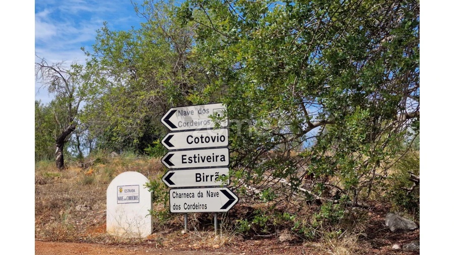 Terreno para Venda em Querença, Tôr e Benafim Foto 7