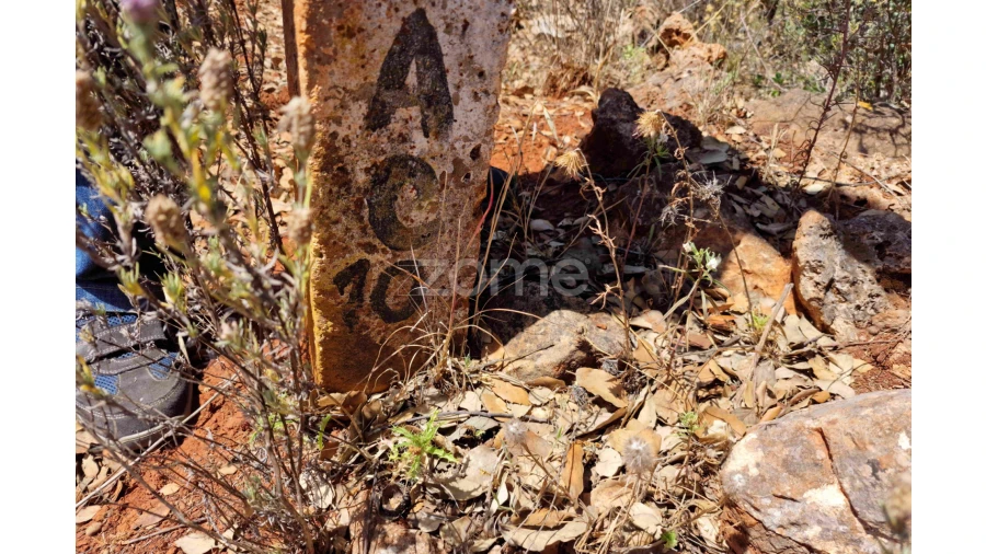 Terreno para Venda em Querença, Tôr e Benafim Foto 12