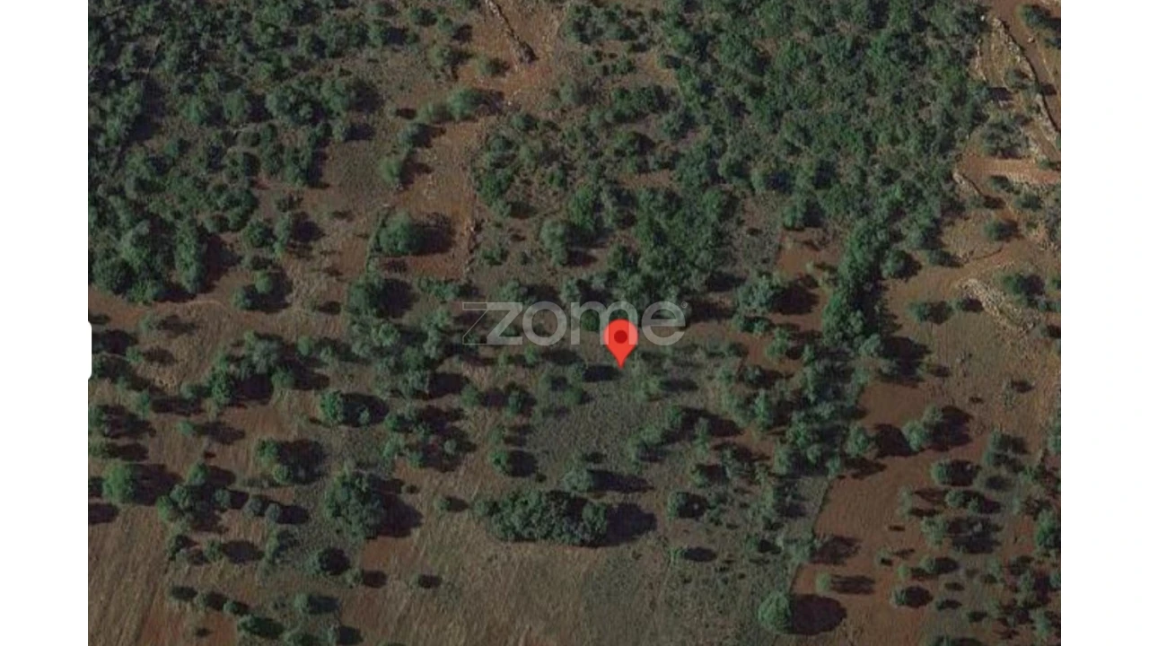 Terreno para Venda em Querença, Tôr e Benafim Foto 4