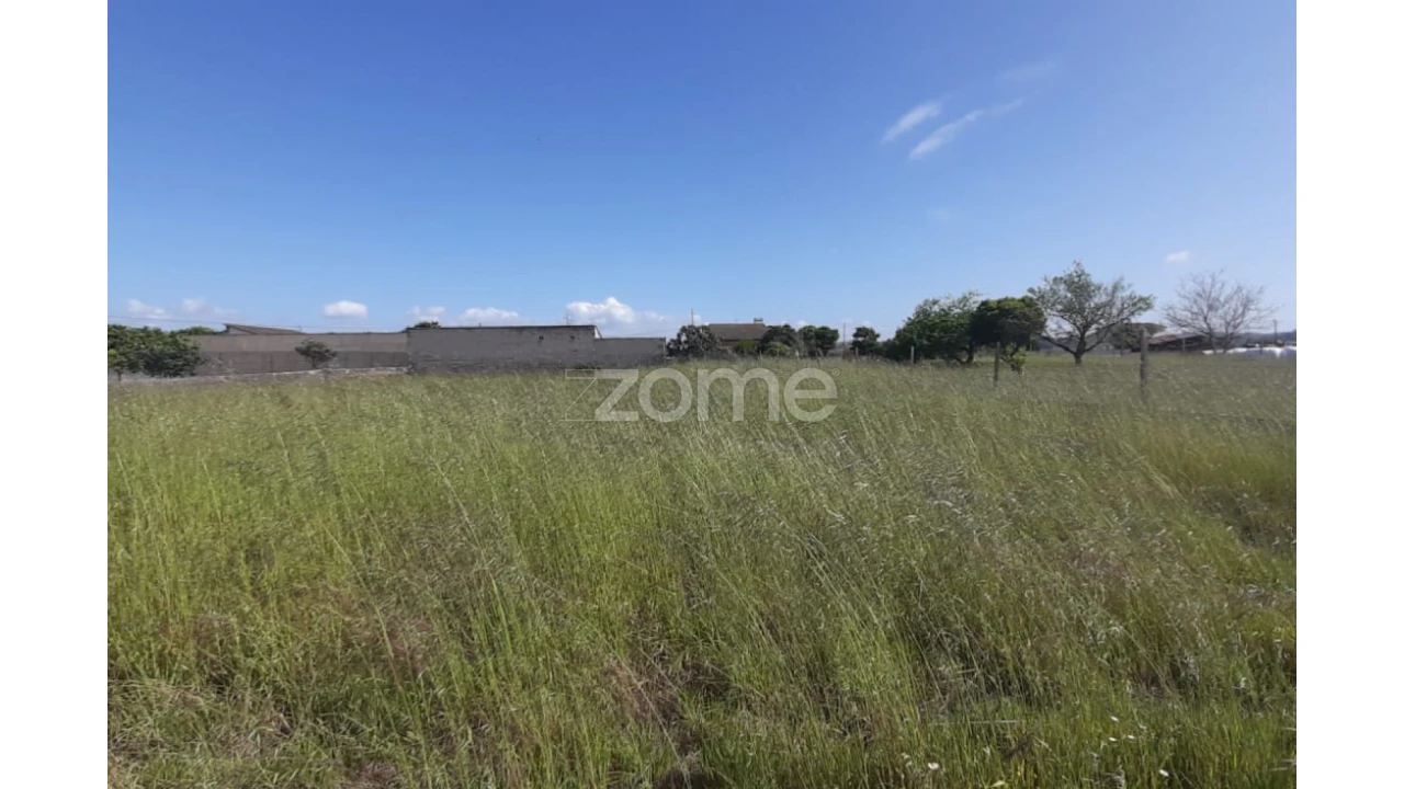 Terreno para Venda em Ereira Foto 3