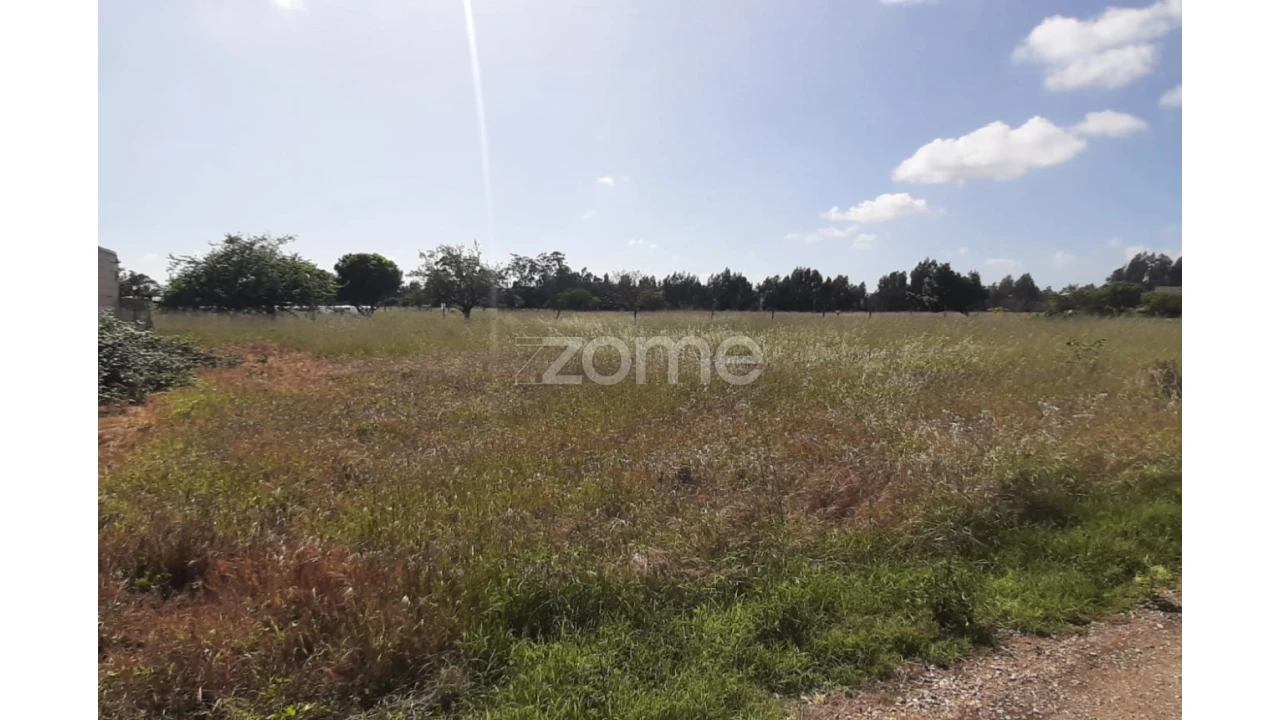 Terreno para Venda em Ereira Foto 8