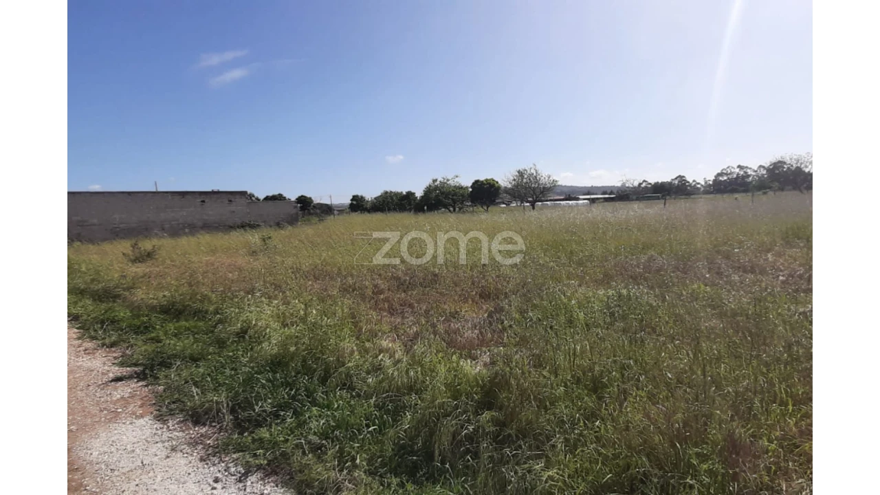 Terreno para Venda em Ereira Foto 1