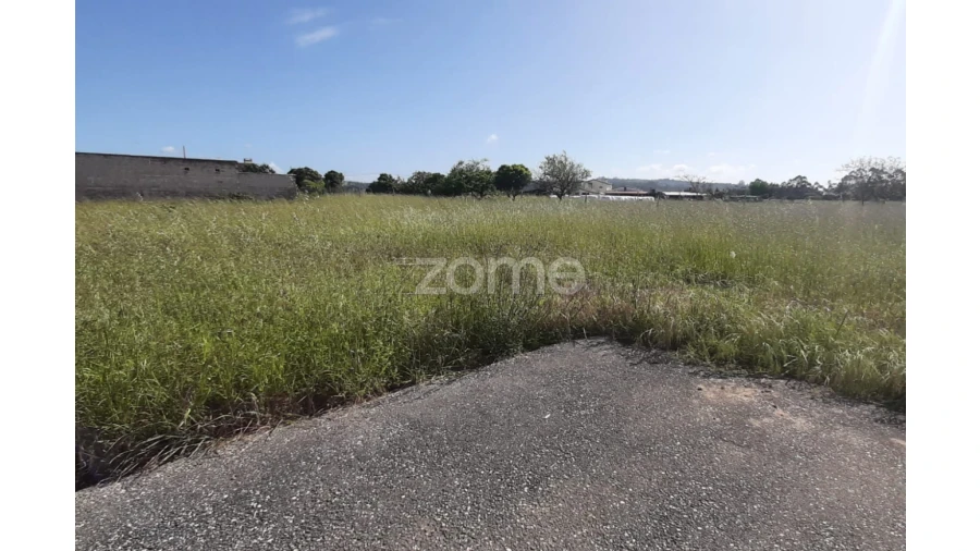 Terreno para Venda em Ereira Foto 2