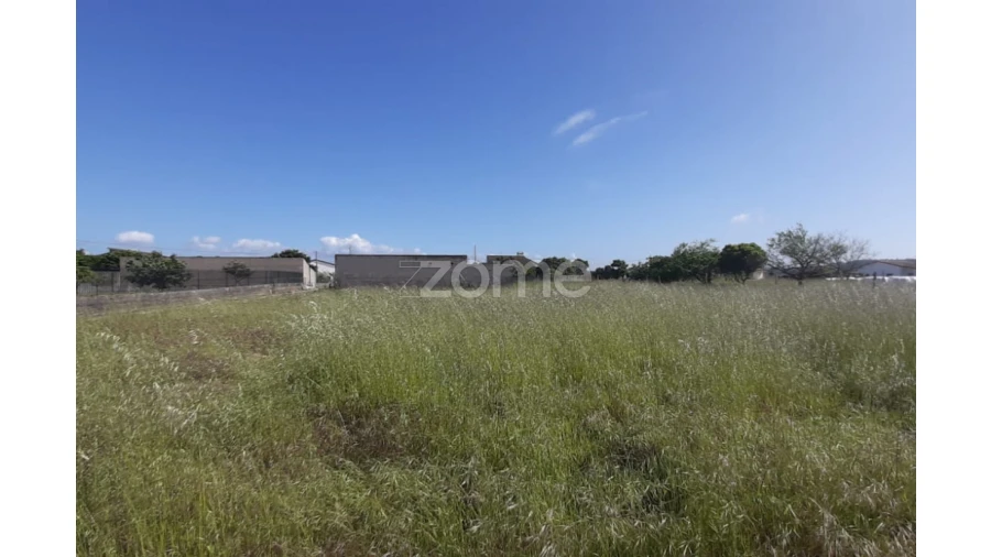 Terreno para Venda em Ereira Foto 5