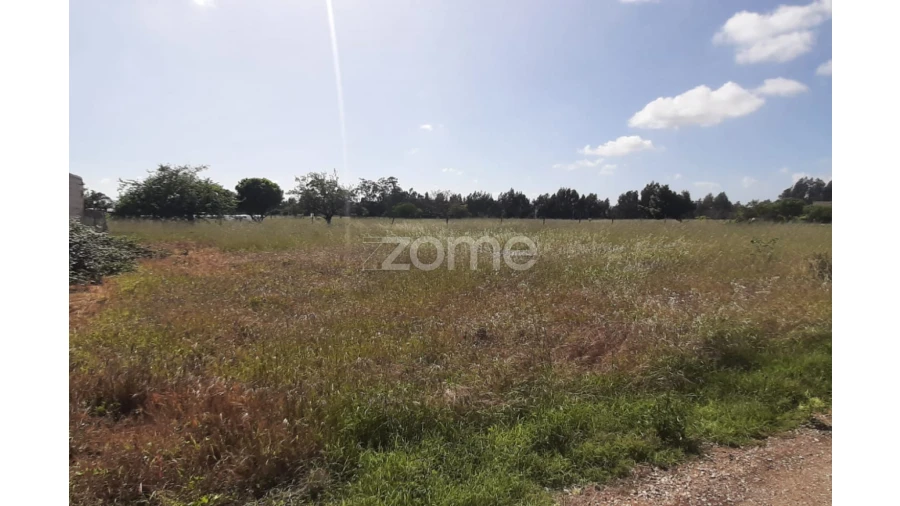 Terreno para Venda em Ereira Foto 8